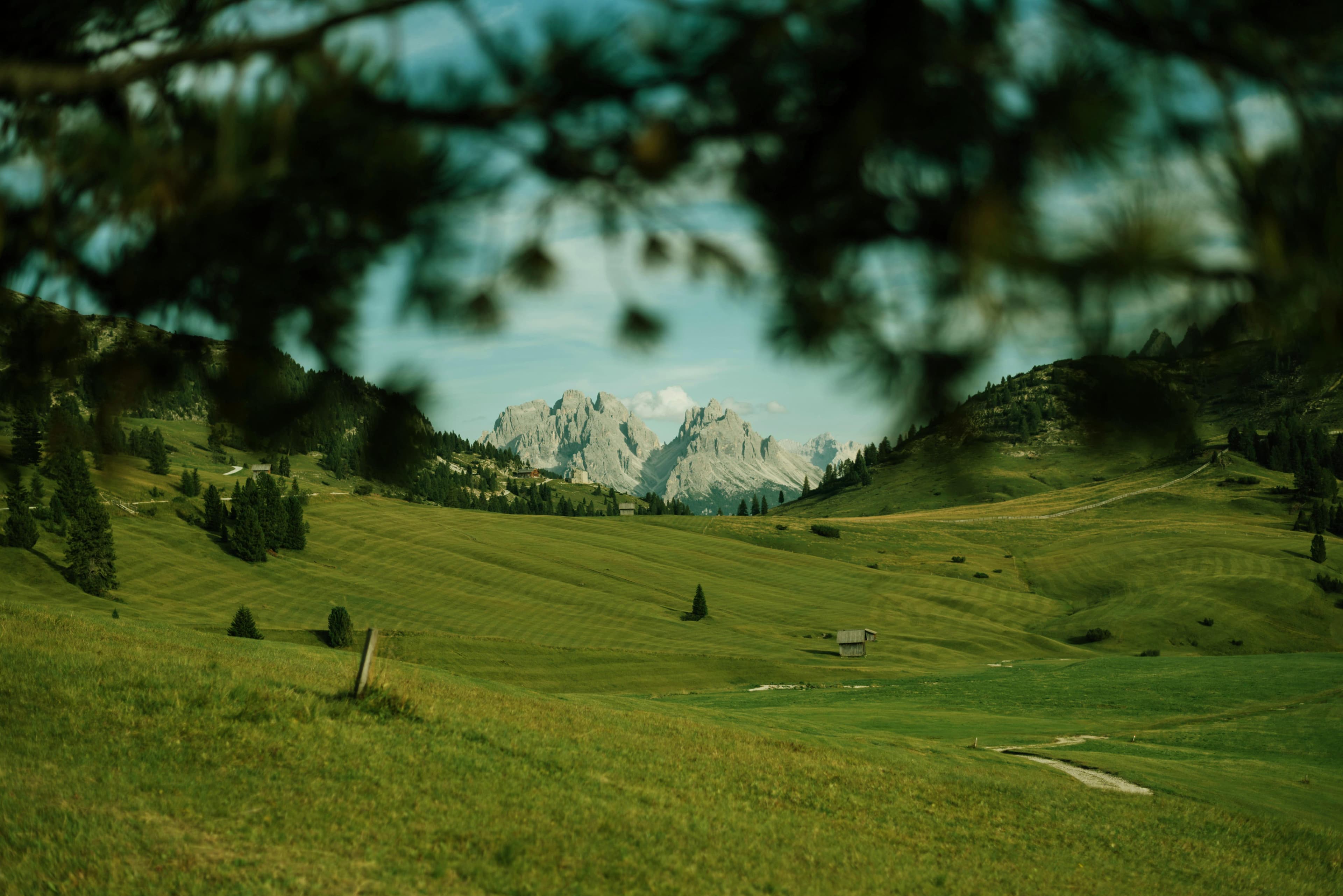 Misty green mountains